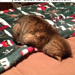 Meet your Posher, Todd